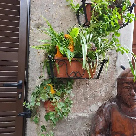 Rifugio Dei Saraceni 招待所 *